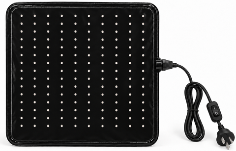 Roof-mounted red light